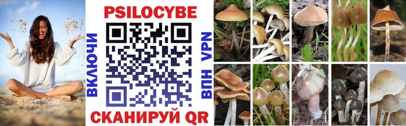 Псилоцибиновые грибы Magic Shrooms  Аша 