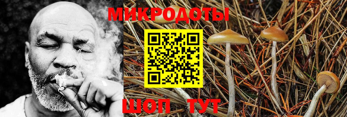 Псилоцибиновые грибы ЛСД Аша