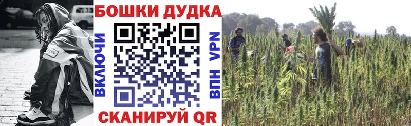 Бошки Шишки конопля  Аша 